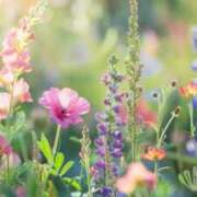 ヒメ日記 2025/01/05 22:46 投稿 七瀬　ゆかり プルプル人妻専門店