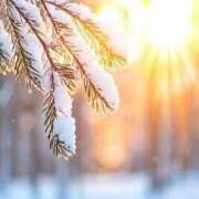 ヒメ日記 2025/01/09 09:45 投稿 七瀬　ゆかり プルプル人妻専門店