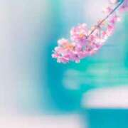 ヒメ日記 2025/01/13 22:10 投稿 七瀬　ゆかり プルプル人妻専門店