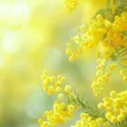 ヒメ日記 2025/03/07 21:39 投稿 七瀬　ゆかり プルプル人妻専門店