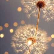 ヒメ日記 2025/03/12 22:02 投稿 七瀬　ゆかり プルプル人妻専門店