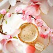 ヒメ日記 2025/03/21 08:30 投稿 七瀬　ゆかり プルプル人妻専門店