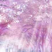 ヒメ日記 2025/04/04 22:03 投稿 七瀬　ゆかり プルプル人妻専門店