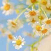 ヒメ日記 2025/04/15 10:36 投稿 七瀬　ゆかり プルプル人妻専門店