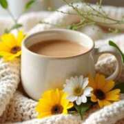 ヒメ日記 2025/04/24 08:30 投稿 七瀬　ゆかり プルプル人妻専門店