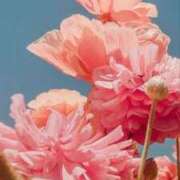 ヒメ日記 2025/04/30 21:47 投稿 七瀬　ゆかり プルプル人妻専門店