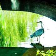 ヒメ日記 2025/05/02 20:45 投稿 七瀬　ゆかり プルプル人妻専門店