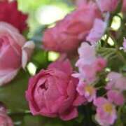 ヒメ日記 2025/05/05 22:17 投稿 七瀬　ゆかり プルプル人妻専門店