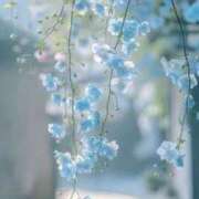 ヒメ日記 2025/05/23 08:30 投稿 七瀬　ゆかり プルプル人妻専門店