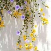 ヒメ日記 2025/05/30 21:30 投稿 七瀬　ゆかり プルプル人妻専門店