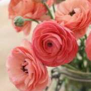 ヒメ日記 2025/05/31 22:00 投稿 七瀬　ゆかり プルプル人妻専門店