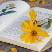 ヒメ日記 2025/06/06 08:30 投稿 七瀬　ゆかり プルプル人妻専門店