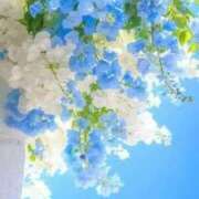 ヒメ日記 2025/06/16 08:30 投稿 七瀬　ゆかり プルプル人妻専門店