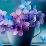 ヒメ日記 2025/06/23 08:30 投稿 七瀬　ゆかり プルプル人妻専門店