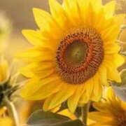 ヒメ日記 2025/07/18 08:30 投稿 七瀬　ゆかり プルプル人妻専門店