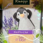 ヒメ日記 2025/07/23 08:30 投稿 七瀬　ゆかり プルプル人妻専門店