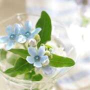 ヒメ日記 2025/08/09 08:30 投稿 七瀬　ゆかり プルプル人妻専門店