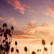 ヒメ日記 2025/09/04 22:01 投稿 七瀬　ゆかり プルプル人妻専門店