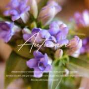 ヒメ日記 2025/09/10 08:30 投稿 七瀬　ゆかり プルプル人妻専門店