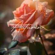 ヒメ日記 2025/09/12 08:30 投稿 七瀬　ゆかり プルプル人妻専門店