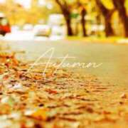 ヒメ日記 2025/09/27 08:30 投稿 七瀬　ゆかり プルプル人妻専門店