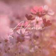 ヒメ日記 2025/09/27 22:37 投稿 七瀬　ゆかり プルプル人妻専門店