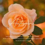 ヒメ日記 2025/10/02 08:30 投稿 七瀬　ゆかり プルプル人妻専門店