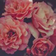 ヒメ日記 2025/10/14 22:01 投稿 七瀬　ゆかり プルプル人妻専門店