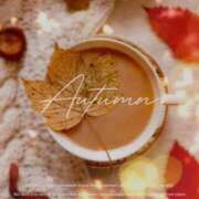 ヒメ日記 2025/11/10 08:30 投稿 七瀬　ゆかり プルプル人妻専門店