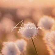 ヒメ日記 2025/11/20 22:02 投稿 七瀬　ゆかり プルプル人妻専門店