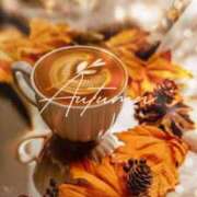 ヒメ日記 2025/11/21 08:30 投稿 七瀬　ゆかり プルプル人妻専門店