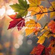 ヒメ日記 2025/11/28 22:15 投稿 七瀬　ゆかり プルプル人妻専門店