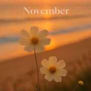 ヒメ日記 2025/11/30 22:15 投稿 七瀬　ゆかり プルプル人妻専門店