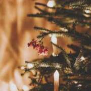 ヒメ日記 2025/12/11 08:30 投稿 七瀬　ゆかり プルプル人妻専門店