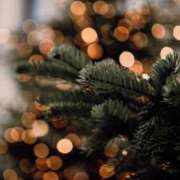 ヒメ日記 2025/12/16 08:30 投稿 七瀬　ゆかり プルプル人妻専門店