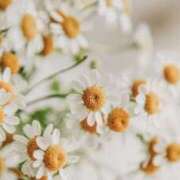 ヒメ日記 2026/01/09 08:30 投稿 七瀬　ゆかり プルプル人妻専門店