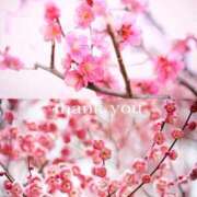 ヒメ日記 2026/01/09 22:15 投稿 七瀬　ゆかり プルプル人妻専門店