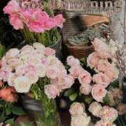 ヒメ日記 2026/01/19 08:30 投稿 七瀬　ゆかり プルプル人妻専門店