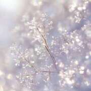 ヒメ日記 2026/01/19 22:30 投稿 七瀬　ゆかり プルプル人妻専門店