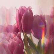 ヒメ日記 2026/02/23 21:45 投稿 七瀬　ゆかり プルプル人妻専門店