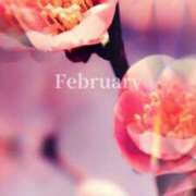 ヒメ日記 2026/02/28 22:17 投稿 七瀬　ゆかり プルプル人妻専門店