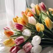 ヒメ日記 2026/03/05 08:30 投稿 七瀬　ゆかり プルプル人妻専門店