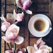 ヒメ日記 2026/03/10 08:30 投稿 七瀬　ゆかり プルプル人妻専門店