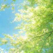ヒメ日記 2026/05/31 22:31 投稿 七瀬　ゆかり プルプル人妻専門店