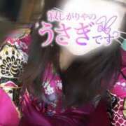 ヒメ日記 2024/12/27 18:24 投稿 りん いざ候 別館