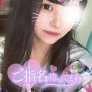 ヒメ日記 2024/12/30 10:24 投稿 りん いざ候 別館