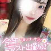 ヒメ日記 2024/12/31 10:06 投稿 りん いざ候 別館