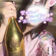 ヒメ日記 2025/01/05 22:34 投稿 りん いざ候 別館