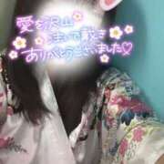 ヒメ日記 2025/01/13 21:14 投稿 りん いざ候 別館