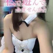 ヒメ日記 2025/01/23 11:14 投稿 りん いざ候 別館